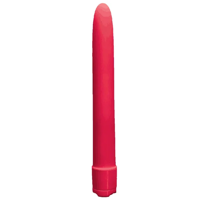 Basic Pleasure Vibe – 6″
