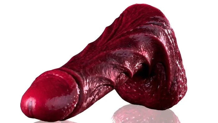 Drac Dildo
