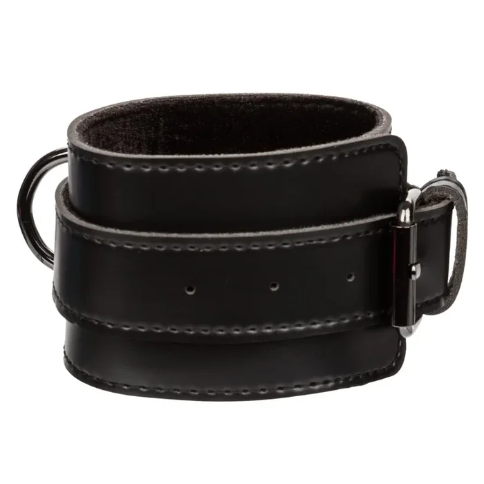 Euphoria Collection Hog Tie – Black