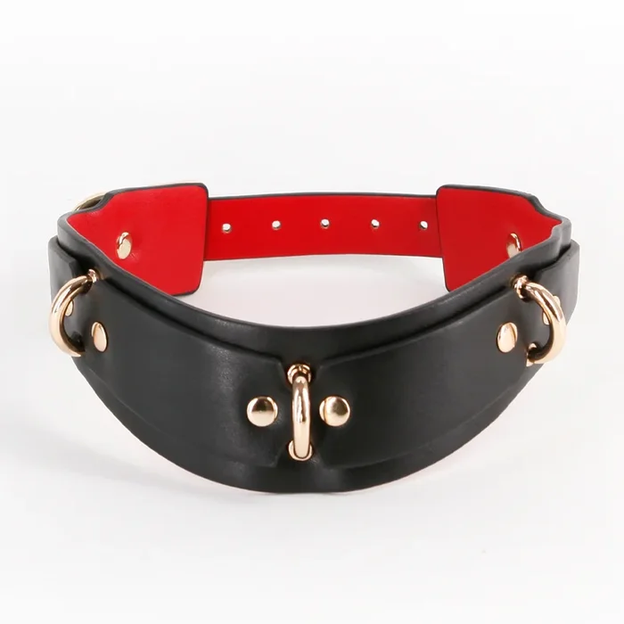 Fetish & Fashion Lilith Curved Faux Leather Posture Collar