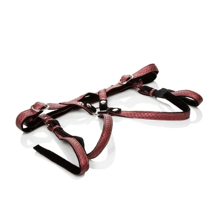 Her Royal Harness the Regal Duchess – Red