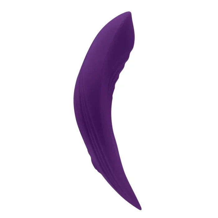 Our Little Secret – Vibrator – Dark Purple