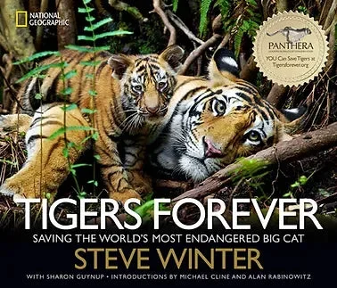 Tigers Forever: Saving the World’s Most Endangered Big Cat