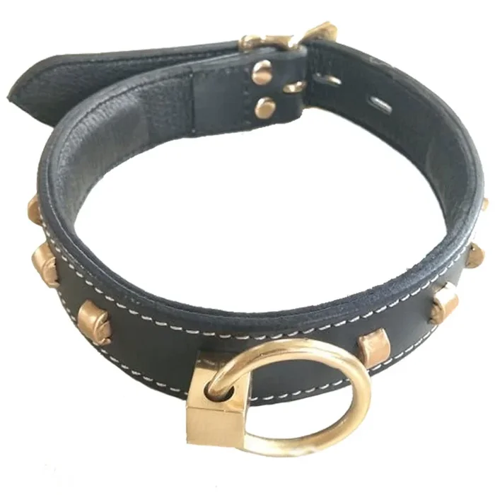 Zorba Lockable Gold Studded Leather Collar